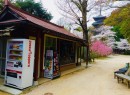 瑞泉堂　清水寺桜公園店